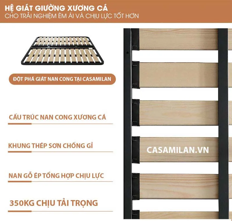Dát giường xương cá chịu lực tốt