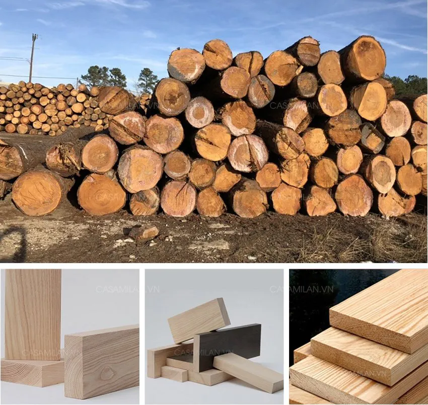 Vật liệu gỗ tự nhiên cao cấp