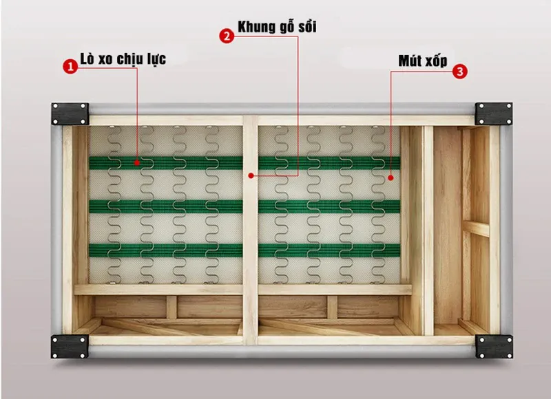 đặc điểm cấu tạo ghế